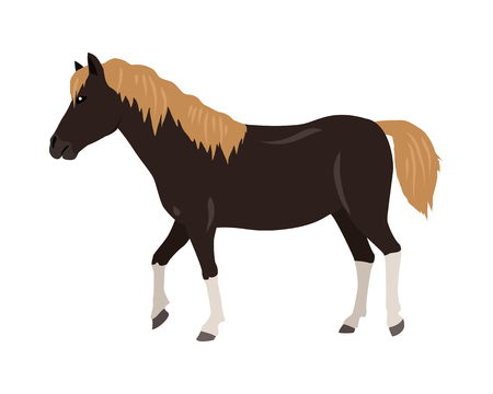 Horse Illustration in Flat Designのイラスト素材