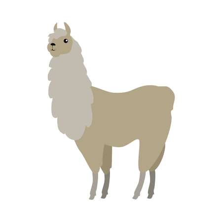 Lama Vector Illustration in Flat Designのイラスト素材