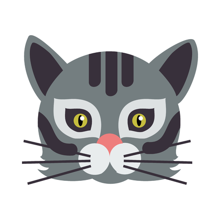 Cat Animal Carnival Mask. Wild or Home Felineのイラスト素材