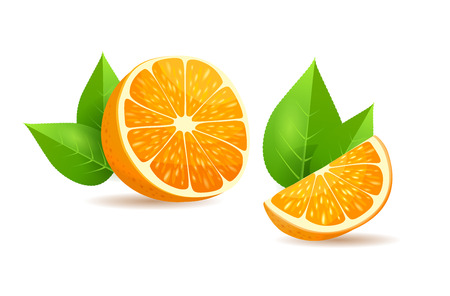 Orange with Leaves Cartoon Isolated Illustrationのイラスト素材