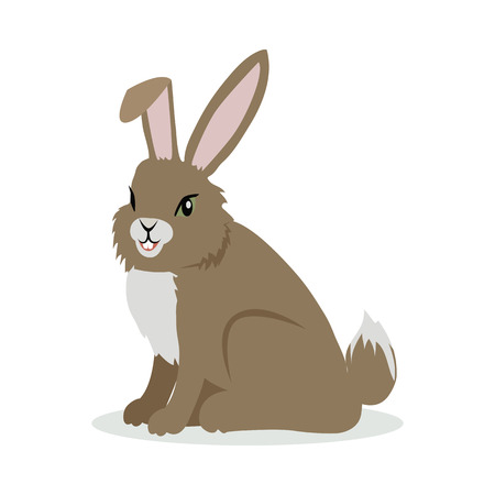 Hare Cartoon Vector Illustration in Flat Designのイラスト素材