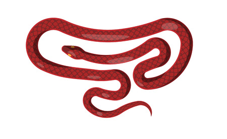 Red Snake Isolated Illustration. Cartoon Reptileのイラスト素材