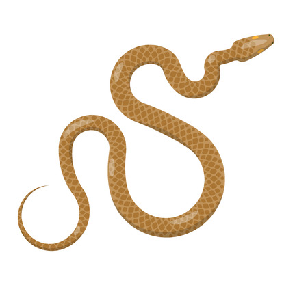 Slither Brown Python Snake Top View Vector Iconのイラスト素材