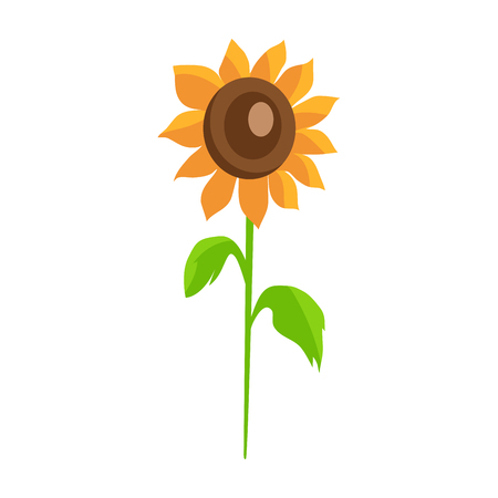 Sunflower isolated White Background Decor Elementのイラスト素材