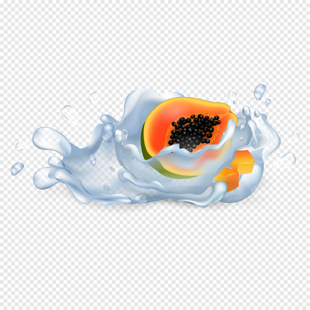 Exotic Papaya Fruit in Clean Water Drops Vectorのイラスト素材