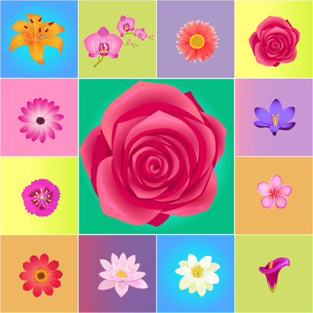 Fresh Flower Heads Colorful Vector Collectionのイラスト素材