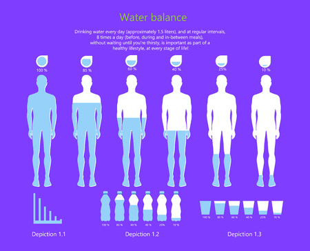 Water Balance in Human Body Vector Illustrationのイラスト素材