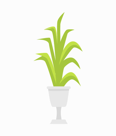 Green Plant in White Pot on Vector Illustrationのイラスト素材
