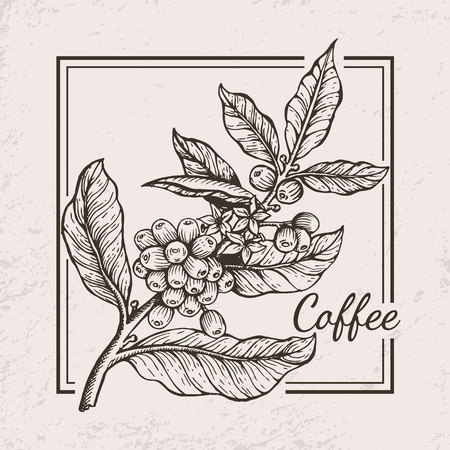 Coffee Berries Twig Icon Vector Illustrationのイラスト素材