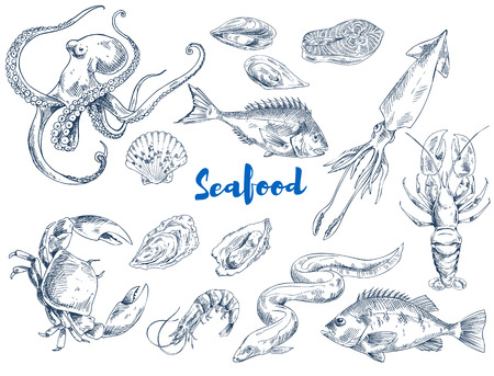 Exotic seafood such as huge octopus, ocean crab, long eel, king shrimp, ink squid, fresh lobster, tasty salmon and mollusks vector illustrations.のイラスト素材