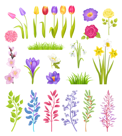 Tulips and Roses, Jasmine and Snowdrop Plantsのイラスト素材