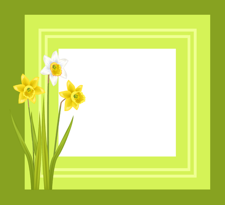 Greeting card with framing daffodil narcissus bulbous illustration.のイラスト素材