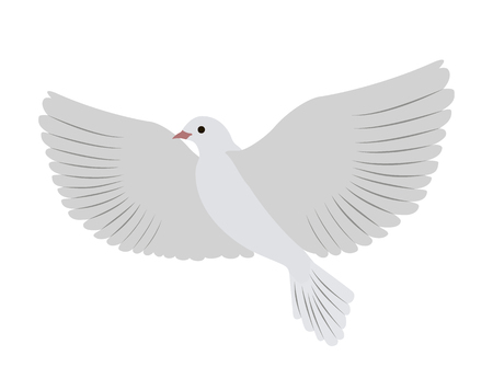 Gorgeous White Dove Flies and Spreads Large Wingsのイラスト素材