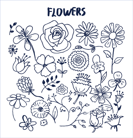 Set of hand drawn flowers vector illustration with cute black sketches of roses chamomiles lilys violets orchid aster poppies and other lovely flowersのイラスト素材