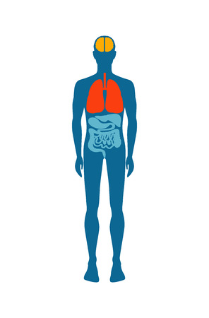 Human Body Infographic Man Vector Illustrationのイラスト素材