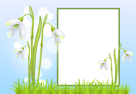 Frame for Text and Snowdrop Galanthus Bell Flowersのイラスト素材