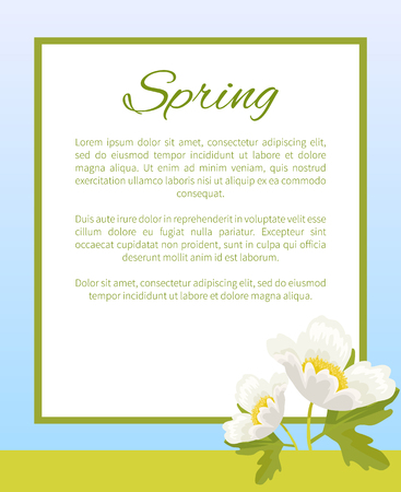 Spring Poster Place Text in Frame Anemone Snowdropのイラスト素材