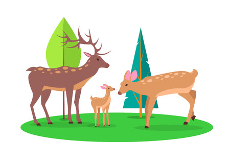 Adult stag and doe with their little fawn in forest cartoon style. Isolated vector illustration of deer family on white backgroundのイラスト素材