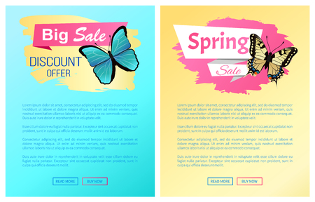 Spring sale label butterflies on online posters add text, ornaments on wings promo vector illustration of springtime stickers with realistic butterflyのイラスト素材
