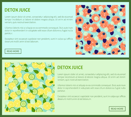 Detox juice web poster ingredients of refreshing drink lemon and cucumbers, grapefruit slices with black raspberries and blueberries vector with text setのイラスト素材