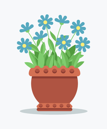 House Plant with Tender Blue Blossom in Clay Potの写真素材