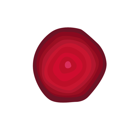 Sweet beet round slice as ingredient for detox. Delicious juicy vegetable of saturated color to clean microflora isolated cartoon vector illustration.のイラスト素材