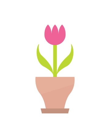 Pink potted flower color, green leaves and stem, plant that has bright bud, tender tulip in pot with small plate under, isolated vector illustration.のイラスト素材