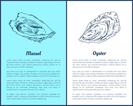 Mussel and Oyster Vector Double Color Graphicのイラスト素材