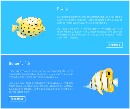 Butterfly fish and boxfish posters set, Fish with long nose and striped pattern. Dotted creature of marine life round shape on vector illustrationのイラスト素材