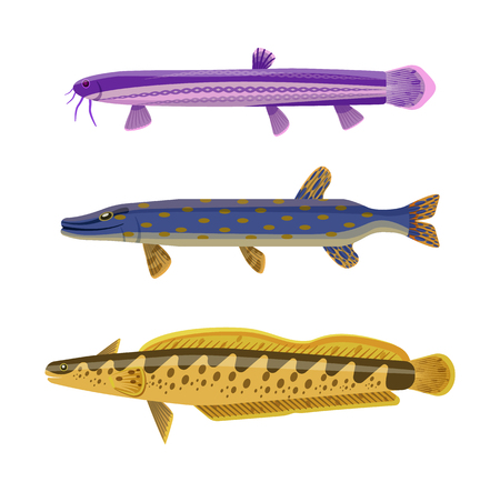 Brook and rainbow tout long fish set. Animals with spots on body and typical shape. Limbless animals water dwellers isolated on vector illustrationのイラスト素材
