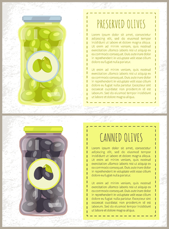 Canned black and green olives preserved food in glass jar vector poster, text sample. Traditional mediterranean cuisine pickled marinated veggiesのイラスト素材
