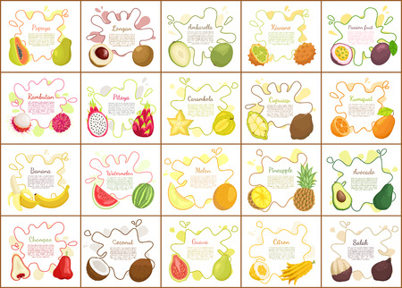 Citron and kiwano, durian and pomelo,, pitaya and papaya, longan and rambutan. Passion fruit and ambarella, carambola and banana, posters set vectorのイラスト素材
