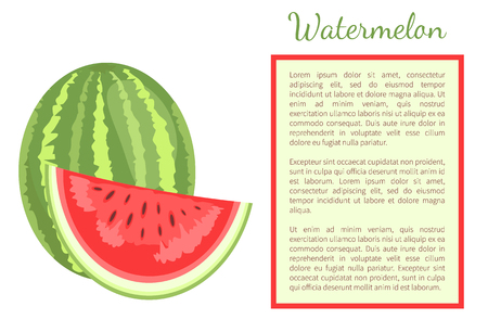 Watermelon or citron melon berry whole and cut, ripe tropical or subtropical plant vector poster frame for text. Food with seeds or seedless edible fruitのイラスト素材