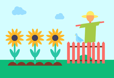 Scarecrow bogey and sunflowers field. Bugaboo enclosed with wooden fence protecting crop from crows. Golliwog on farm and plants in ground vectorのイラスト素材
