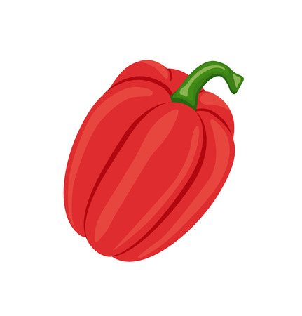 Pepper Fresh Homegrown Veggie Vector Illustrationの写真素材