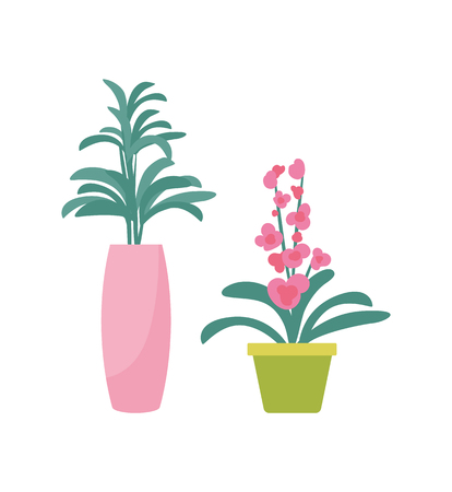 Flower green plant in vase potted flourishing isolated icons set vector. Decoration of rooms and offices, interior decor and fresh design of placeのイラスト素材