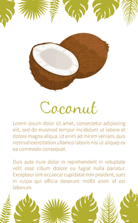 Coconut exotic fruit vector poster with text sample and palm leaves. Tropical food, plant in brown shell, dieting milk for cocktails inside, coco iconのイラスト素材