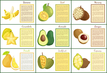Banana and bael posters set with text sample vector. Tropical fruits longan, mamey and cupuacu, durian and pomelo avocado and carambola star sliceのイラスト素材