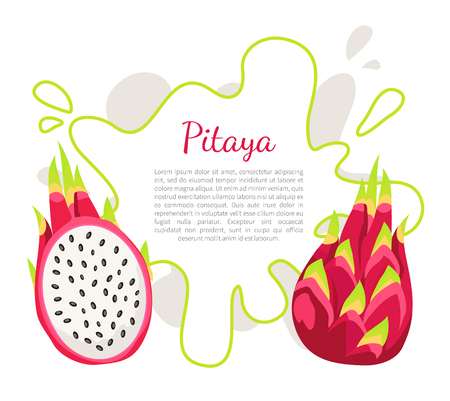 Pitaya or pitahaya exotic juicy fruit vector poster frame and text. Tropical edible food, dieting vegetarian plant vitamins, subtropical dragon fruits signのイラスト素材
