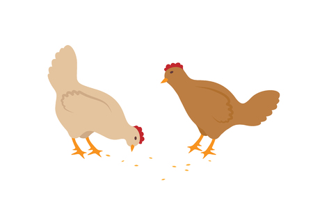 Two hens eating seeds vector icons in cartoon style. Pale domestic birds with wings, tails and red crest isolated on white, simple design for kid bookのイラスト素材
