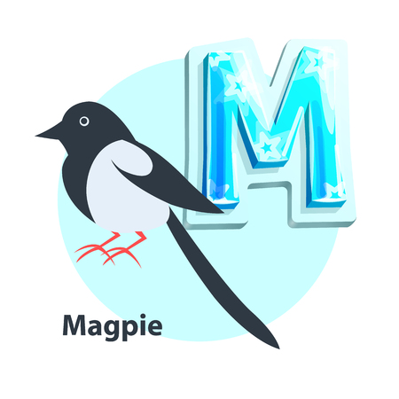 Magpie little black-and-white bird presenting M letter in english alphabet. Children ABC element with vector cartoon character and uppercase char.のイラスト素材