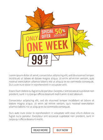 Exclusive price 99.90 promotional poster with maple leaves, oak foliage autumn symbols advert emblem. Special offer only week at Thanksgiving holidays.のイラスト素材