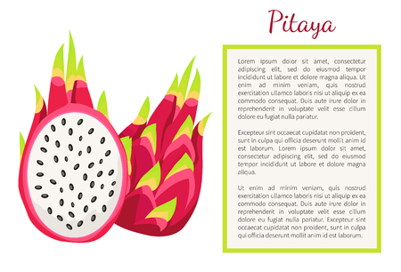 Pitaya or pitahaya exotic juicy fruit whole and cut vector poster frame for text. Tropical edible food, dieting subtropical dragon fruits veggiesのイラスト素材