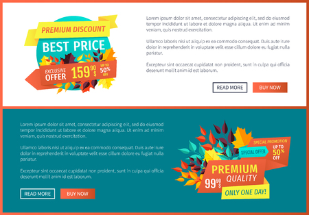 Premium discount best price posters set with banners and text. Autumn leaves decoration only one day exclusive products quality goods offer vectorのイラスト素材