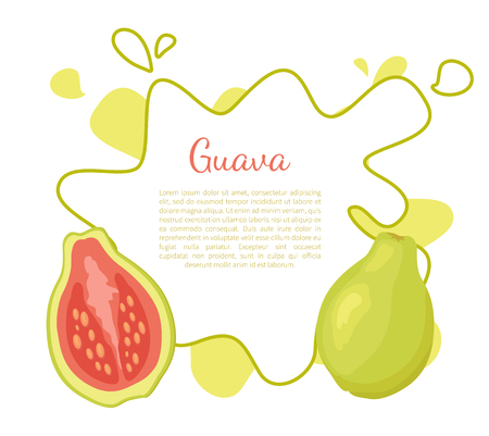 Guava or pineapple guavas exotic juicy fruit vector poster frame and text. Tropical food, dieting vegetarian plant full of vitamins with eatable fleshのイラスト素材