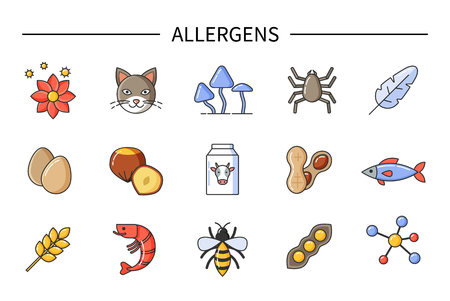 Allergens causing allergy, food and environmental causes vector. Flowers eggs, cats fur and dust, feather and fish, shrimps and bees, wheat and nutのイラスト素材