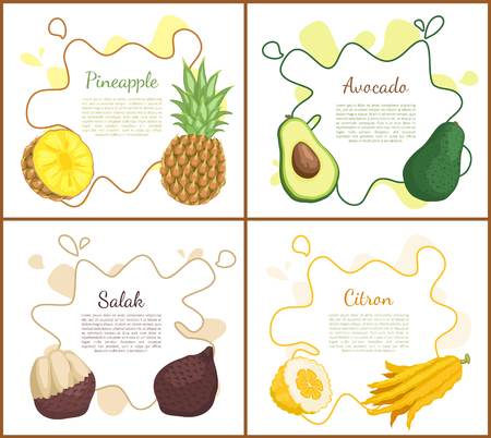Pineapple and avocado set of posters with text. Salak and yellow ripe citron, tropical products and desserts. Healthy meal, fresh food eating vectorのイラスト素材