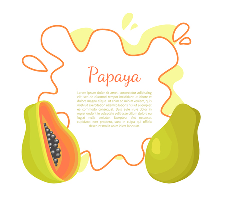 Papaya exotic fruit vector poster frame and place for text. Papaw or pawpaw Carica plant. Tropical food, similar to pear, dieting vegetarian grocery ??????のイラスト素材