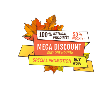 Special promotion discount on Thanksgiving day, exclusive offer buy now natural product label with maple leaves. Vector autumn sale label yellow foliageのイラスト素材