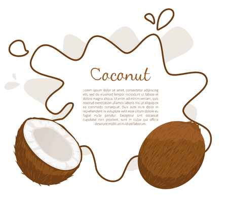 Coconut exotic fruit vector poster frame and place for text. Tropical food, plant in brown shell, dieting milk for cocktails inside, vegetarian coco iconのイラスト素材